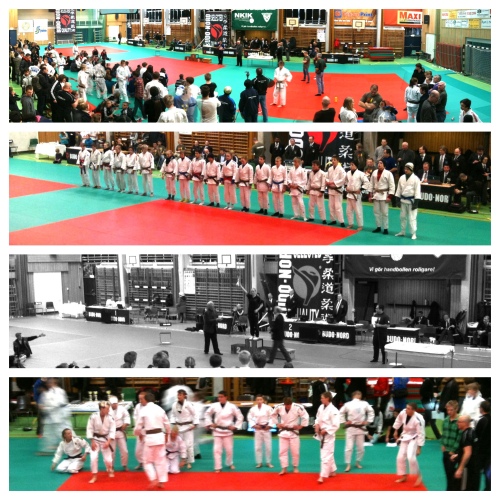 Judo SM 2011 Norrköping