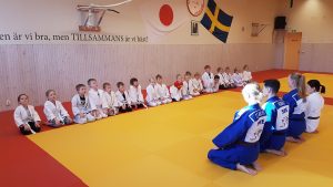 Staffanstorps judoklubb judolekis 2018